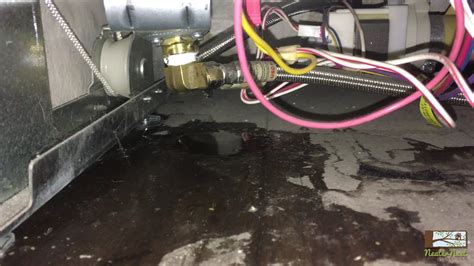 ge dishwasher leaking from water inlet|Dishwasher Leaking